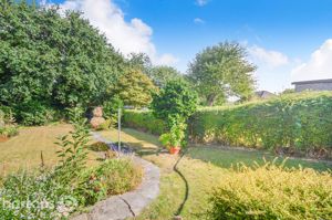 Photo 17- click for photo gallery